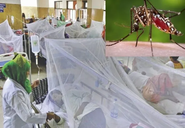৬৪ জেলায় ছড়িয়ে পড়েছে ডেঙ্গু