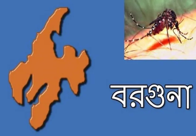 ডেঙ্গুর ছোবলে রক্ষা পায়নি দেড় বছরের শিশু
