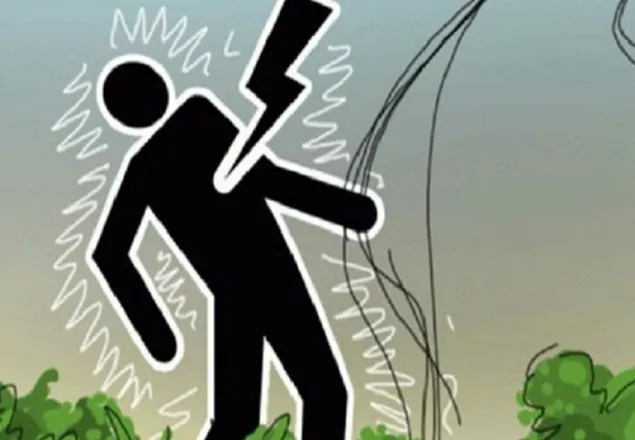 সাঘাটায় বিদ্যুৎস্পৃষ্টে কৃষক নিহত