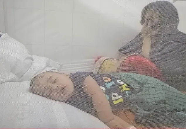 ২৪ ঘণ্টায় হাসপাতালে ১৬৪৯, এ পর্যন্ত ডেঙ্গু আক্রান্ত ২২৯১৯ জন