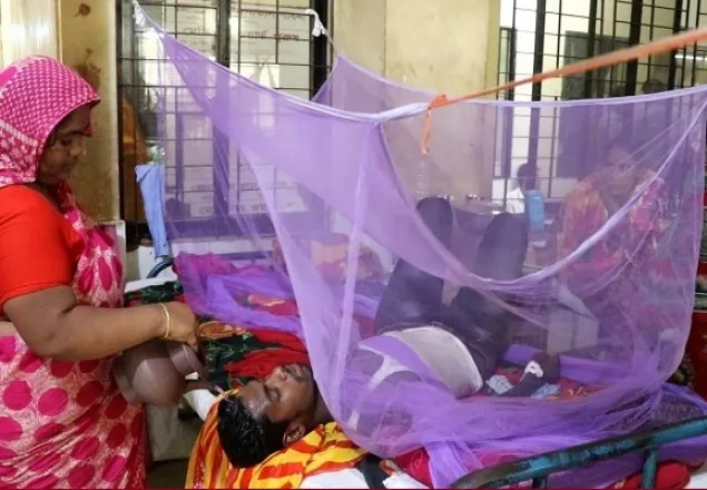 ডেঙ্গু রোগীর সংখ্যা বাড়ছেই, গত ২৪ ঘণ্টায় ১৮৭০ জন