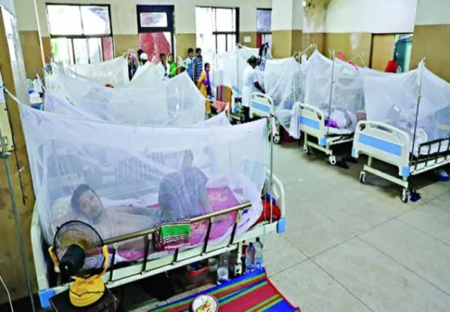 ২৪ ঘণ্টায় ডেঙ্গু আক্রান্ত হয়ে নিহত ৬