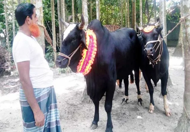 ৫ লাখ টাকা চায় যুবরাজের মালিক!