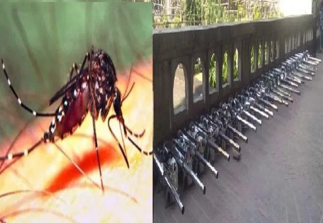 ঢাকায় পৌঁছেছে মশার ওষুধের নমুনা