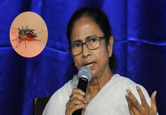 পশ্চিমবঙ্গে ডেঙ্গু, দায় করলেন বাংলাদেশি মশার!