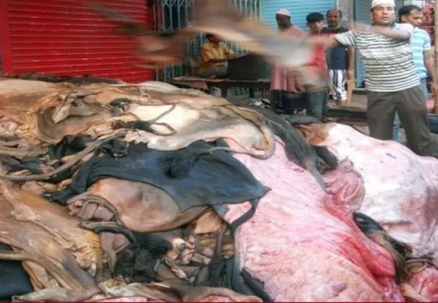 গরুর চমড়া প্রতি বর্গফুট ৪৫-৫০, খাসি ১৮-২০ টাকা