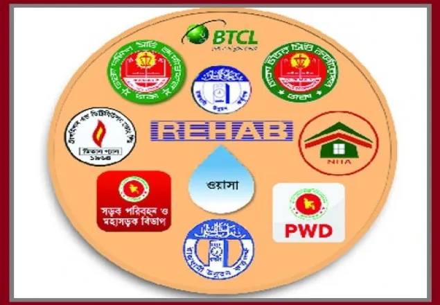 ঢাকায় ডেঙ্গু বেড়েছে ১০ সংস্থার অবহেলায়