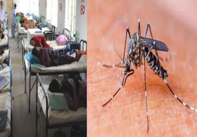 মির্জাপুরে ডেঙ্গুর ছোবলে প্রাণ গেল কলেজ ছাত্রের