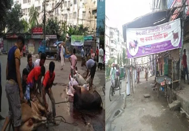 নির্ধারিত স্থান ফাঁকা, রাস্তায় হলো কোরবানি
