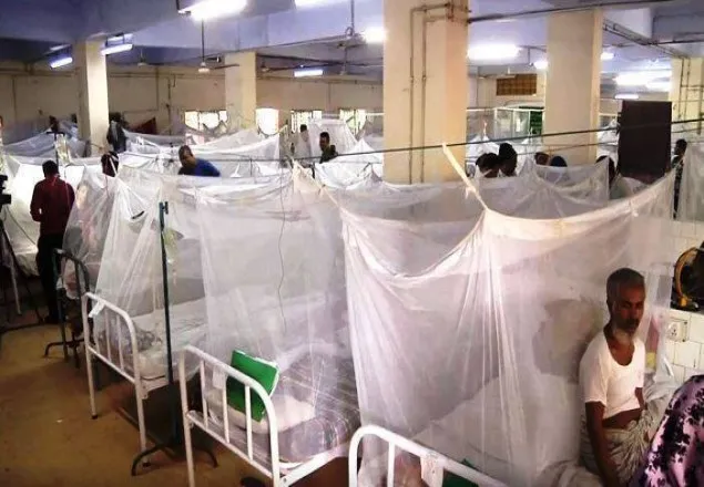  ২৪ ঘণ্টায় হাসপাতালে ভর্তি ২০৯৩ ডেঙ্গু রোগী