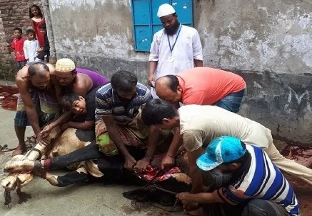 ঈদের দ্বিতীয় দিনেও চলছে কোরবানি