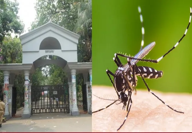 ডেঙ্গুতে রমনা পার্কের পরিচ্ছন্নতা কর্মীর মৃত্যু 