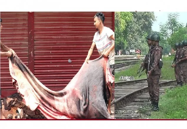 চামড়া ভারতে পাচার ঠেকাতে হিলিতে সতর্কতা জারি 
