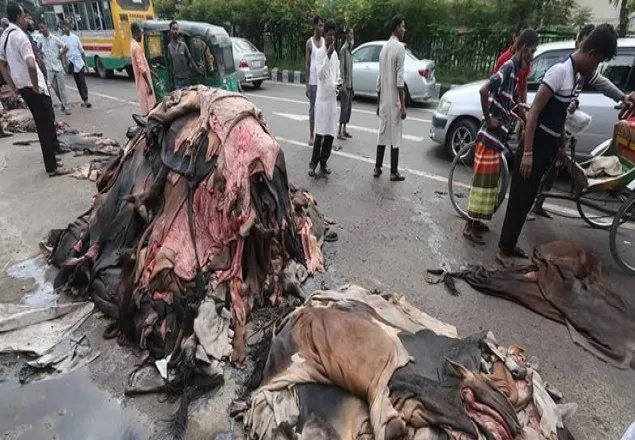 কাঁচা চামড়া রফতানির সিদ্ধান্ত নিয়েছে সরকার