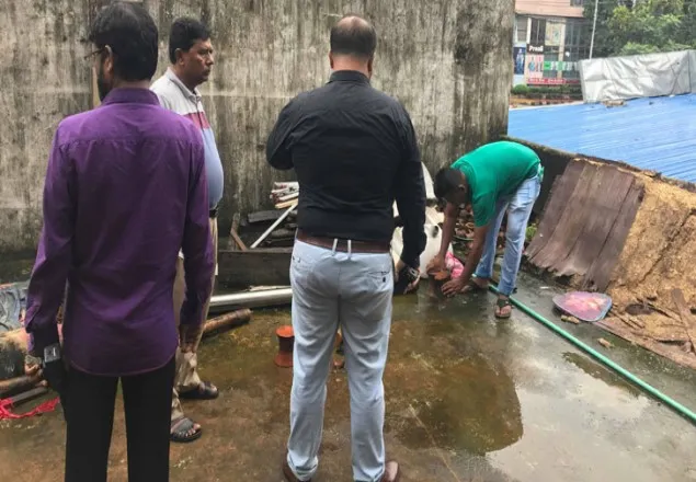 এডিস মশার লার্ভা মেলায় ১ লাখ টাকা জরিমানা, ৭ দিনের কারাদণ্ড