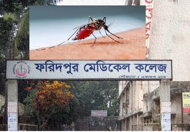  লম্বা হচ্ছে লাশের মিছিল, ডেঙ্গু এবার কেড়ে নিলো শিক্ষার্থীর মৃত্যু