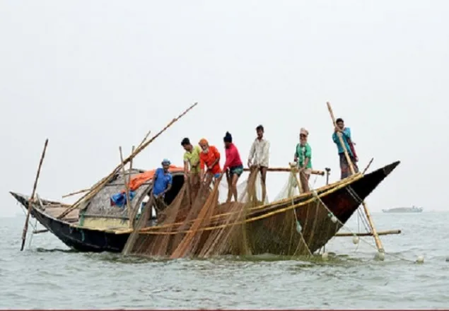 ভরা মৌসুমেও নদীতে মিলছে না ইলিশ
