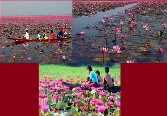 বঙ্গবন্ধুর আঙ্গিনায় এ কোন স্বপ্নপুরীর লাল হাসি!