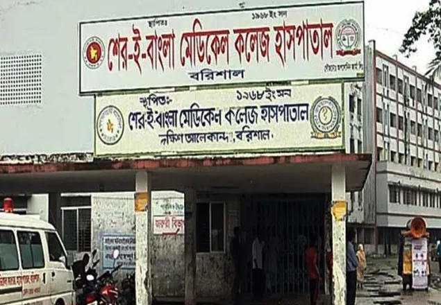 বরিশালে ডেঙ্গু জ্বরে তরুণীর মৃত্যু