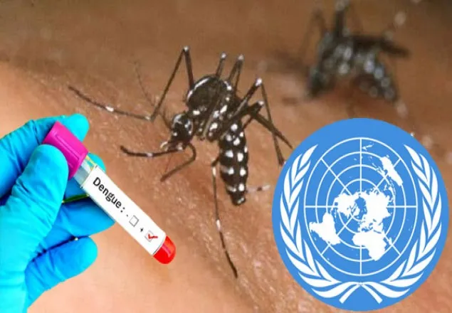 ডেঙ্গু নিয়ন্ত্রণে কাল ঢাকায় আসছে জাতিসংঘ দল