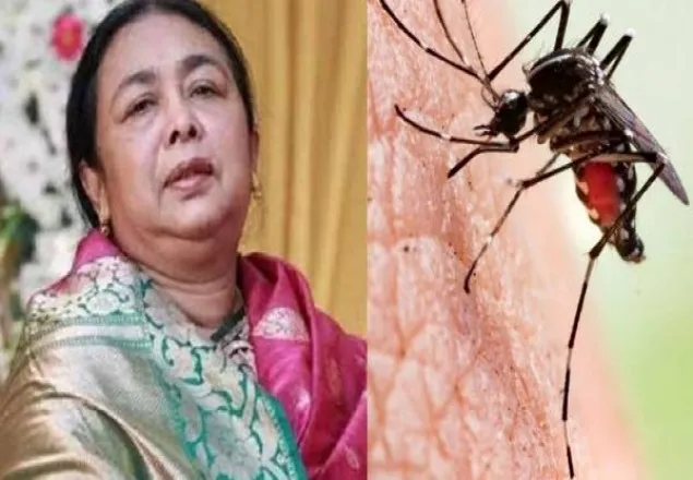 যুক্তরাষ্ট্র থেকে দেশে এসে ডেঙ্গুতে মারা গেলেন চিকিৎসক