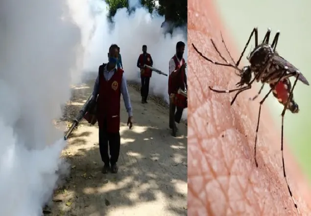 ডেঙ্গু মোকাবেলায় সরকারের পরিকল্পনায় ঘাটতি আছে
