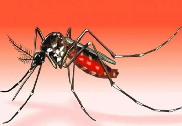 কিশোরগঞ্জে ডেঙ্গুতে শিশুর মৃত্যু