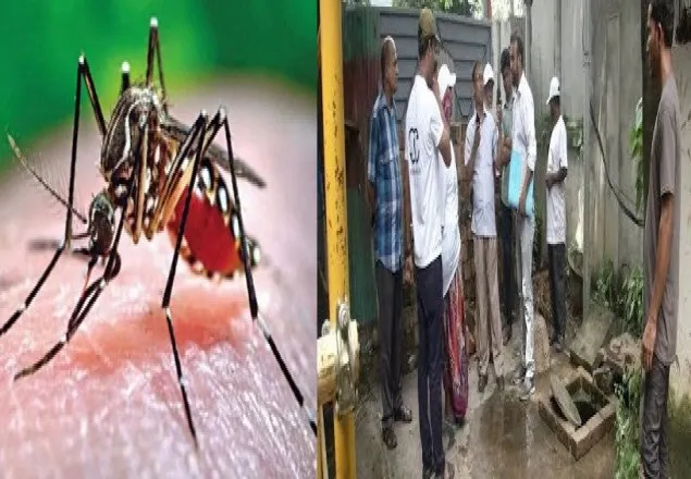 সচেতনতা যেন আঁধারে ঢাকা, সব ভবনেই মিলছে এডিসের লার্ভা
