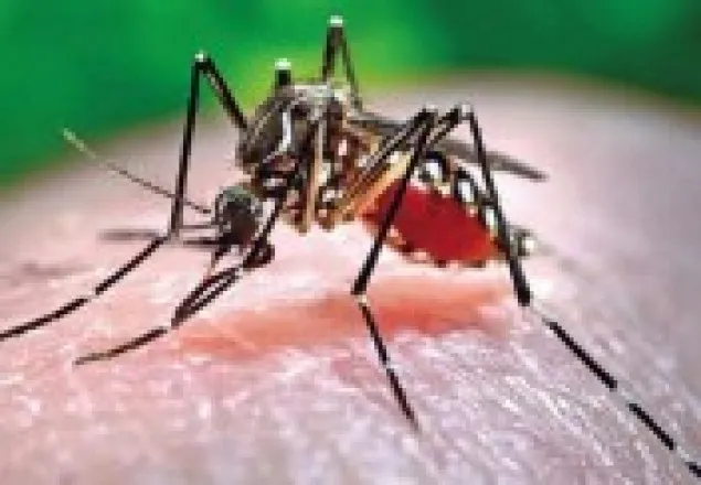 পাবনায় ডেঙ্গু জ্বরে স্কুল শিক্ষিকার মৃত্যু