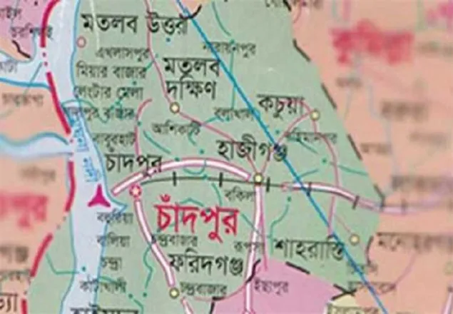হাজীগঞ্জে তাল পড়ে শিক্ষকের মৃত্যু
