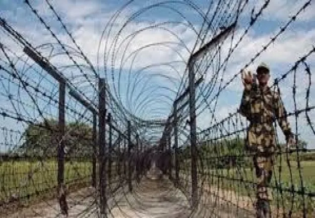 দামুড়হুদা সীমান্তে গরু ব্যবসায়ীকে পিটিয়ে হত্যা
