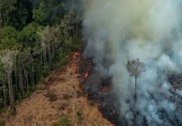 অর্থ সহায়তা প্রত্যাখ্যান করে ক্ষোভ প্রকাশ করলেন ব্রাজিলের প্রেসিডেন্ট