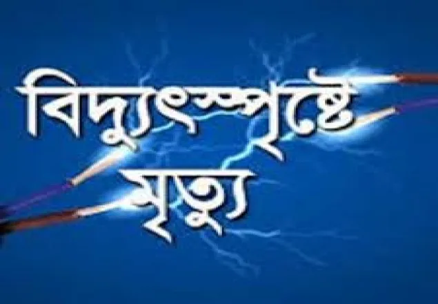 শ্রীপুরে বিদ্যুৎস্পৃষ্ট হয়ে এক শিশুর মৃত্যু