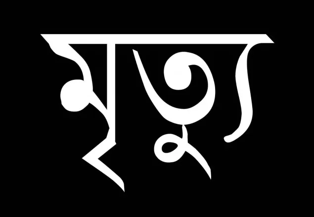 ঠাকুরগাঁওয়ে মায়ের দেয়া বিষে শিশুর মৃত্যু!