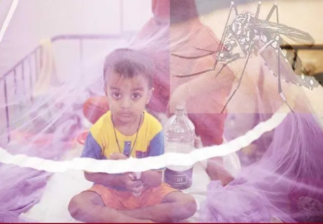 নতুন ডেঙ্গু রোগী ৭৯৩ জন, এক ব্যক্তির মৃত্যু 