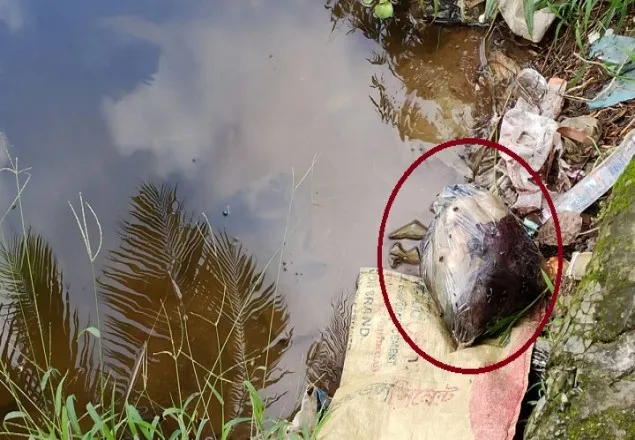 পলিথিনে মোড়ানো নবজাতকের লাশ!