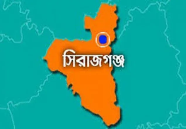 নেশার টাকা না পেয়ে নানিকে কুপিয়ে হত্যা
