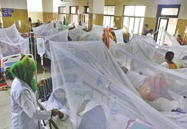 ডেঙ্গু জ্বরে আক্রান্ত হয়ে আরও ৭৩৫ জন ভর্তি