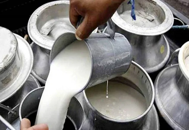 পাকিস্তানে পেট্রলের চেয়ে দুধের দাম বেশি!