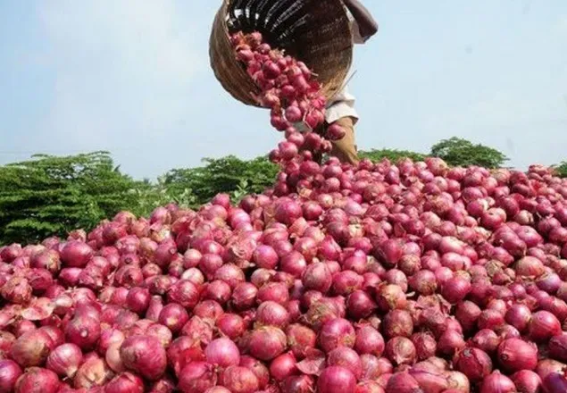 আজ থেকে খোলা বাজারে পেঁয়াজ বিক্রি শুরু   