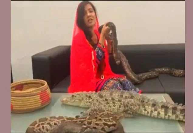 সাপ-কুমির নিয়ে মোদিকে পাকিস্তানি অভিনেত্রীর হুমকি 