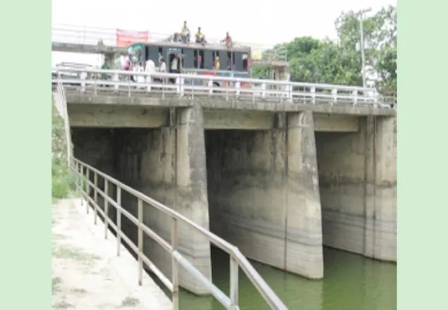 রাজশাহীর বড়াল নদীতে নারীসহ ভাসছে ৪ লাশ
