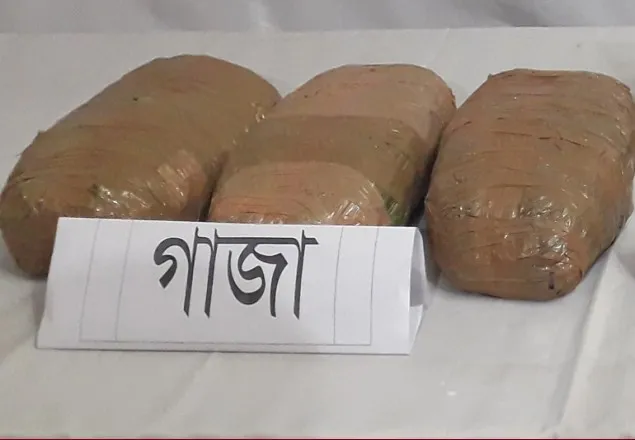 ইজিবাইকে মিললো ৪ কেজি গাঁজা
