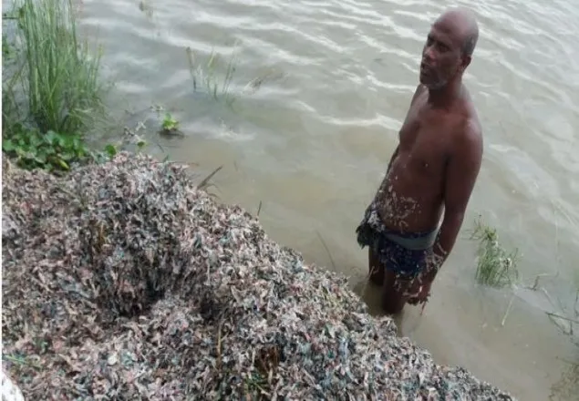  বিলের পানিতে মিলল ৫ বস্তা ছেঁড়া টাকা! 
