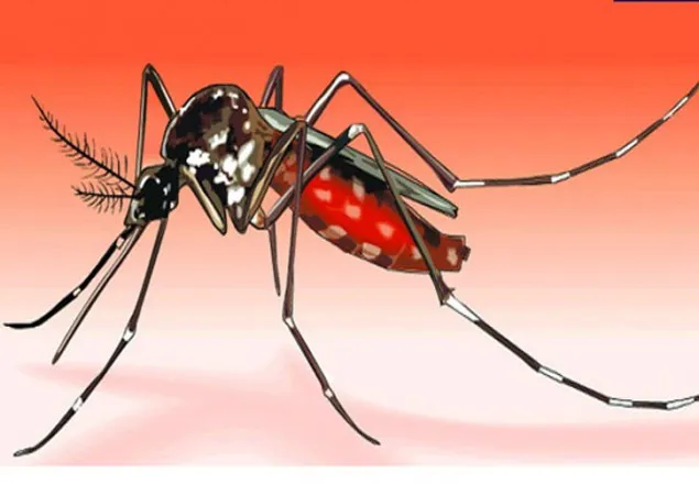 খুলনায় ডেঙ্গুতে গৃহবধূর মৃত্যু
