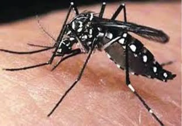 চমেক হাসপাতালে ডেঙ্গু রোগীর মৃত্যু