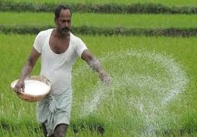 ডিএপি সারের দাম ২০ টাকা করার প্রস্তাব : কৃষিমন্ত্রী
