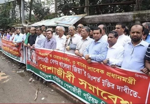 নীলনকশা বাস্তবায়ন করতেই খালেদা জিয়াকে আটকে রেখেছে: মির্জা ফখরুল 