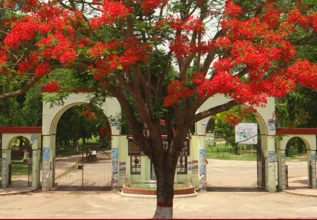 ইবির ভর্তি পরীক্ষার সময়সূচি প্রকাশ
