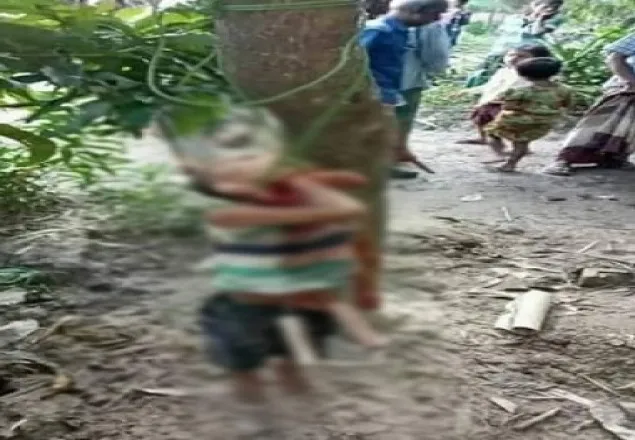 সুনামগঞ্জে শিশু তুহিন হত্যার ঘটনায় 'পরিবারের সদস্য' জড়িত: পুলিশ